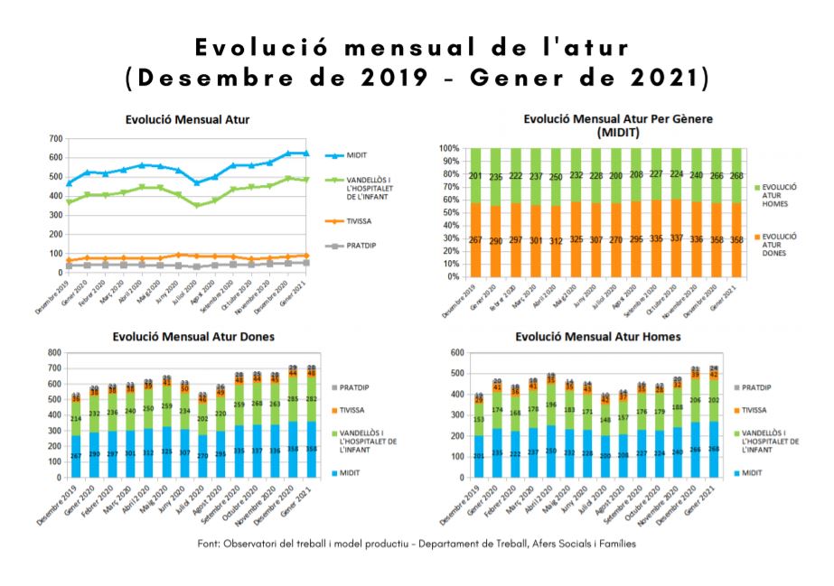 SOCIOECONOMIC DATA OF THE TERRITORY (evolution monthly data, January 2021) Image