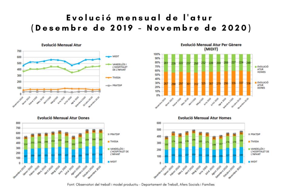 SOCIOECONOMIC DATA OF THE TERRITORY (evolution monthly data, November 2020) Image